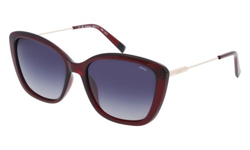 INVU BASIC IB22517 D