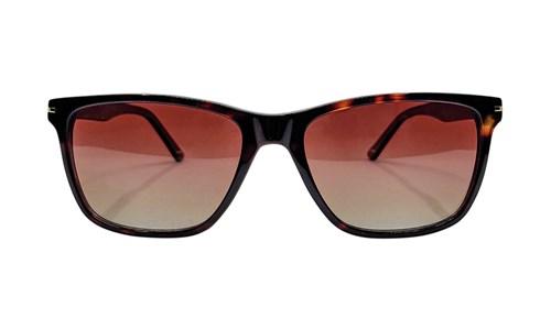 JEAN PAUL SUN JPS090 C01 56-17