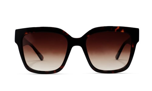 JEAN PAUL SUN JPS122 C01 54-19