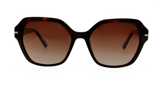 JEAN PAUL SUN JPS141 C03 53-17-140