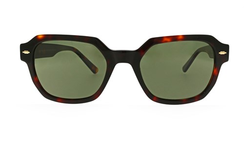 JEAN PAUL SUN JPS145 C02 53-21-145