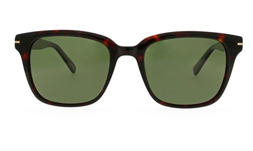 JEAN PAUL SUN JPS146 C01 54-20-145