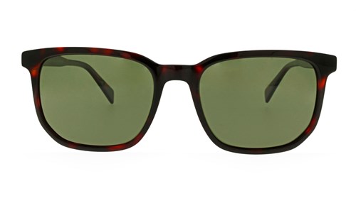 JEAN PAUL SUN JPS147 C01 54-19-145