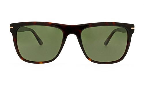 JEAN PAUL SUN JPS148 C03 56-19-145