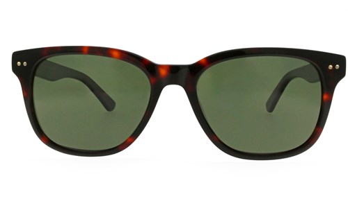 JEAN PAUL SUN JPS164 C03 58-19