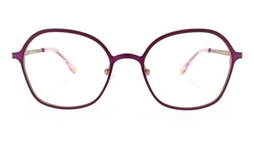 ROST RK011 C02 48-17 titanium