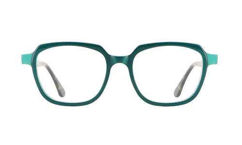 VANNI V1717 A89  50-17