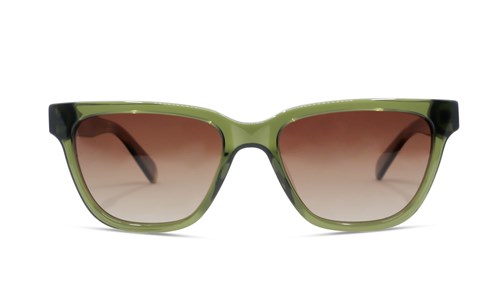 VENDELA SUN VS035 C02 53-17